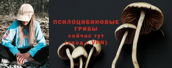 альфа пвп Новокубанск