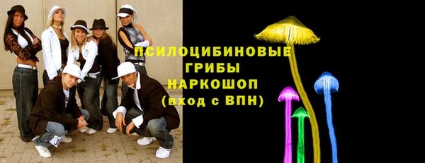 марки nbome Новозыбков