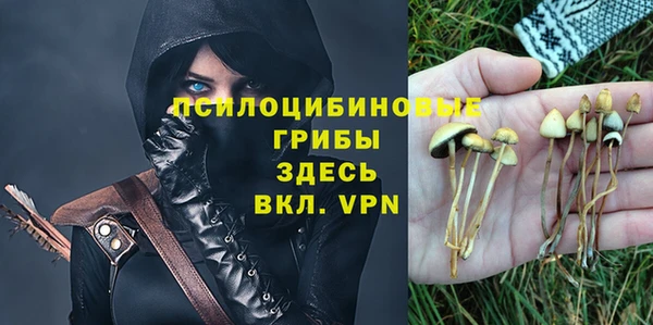 альфа пвп Новокубанск